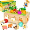 Brinquedos de Classificação e Empilhamento |   Brinquedos de Aprendizagem Montessori de Madeira para Bebês de 1 a 3 Anos – Brinquedos de Classificação de Formas com Animais – Jogo Educativo de Habilidades Motoras Finas para Crianças de 1 a 3 Anos Brinquedos de Classificação e Empilhamento Brinquedos de Classificação e Empilhamento