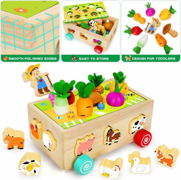 Brinquedos de Classificação e Empilhamento |   Brinquedos de Aprendizagem Montessori de Madeira para Bebês de 1 a 3 Anos – Brinquedos de Classificação de Formas com Animais – Jogo Educativo de Habilidades Motoras Finas para Crianças de 1 a 3 Anos Brinquedos de Classificação e Empilhamento Brinquedos de Classificação e Empilhamento