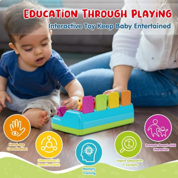 Brinquedos de Desenvolvimento e Atividade para Bebês |   Brinquedos Pop Up – Brinquedos de Dinossauro para Bebês com Causa e Efeito – Brinquedos Educativos para Meninos de 1 Ano – Brinquedos para Meninas de 12 a 18 Meses – Brinquedos para Bebês de 6 a 12 Meses – Desenvolvimento de Brinquedos para Bebês de 7 a 11 Meses. Brinquedos de Desenvolvimento e Atividade para Bebês Brinquedos de Desenvolvimento e Atividade para Bebês