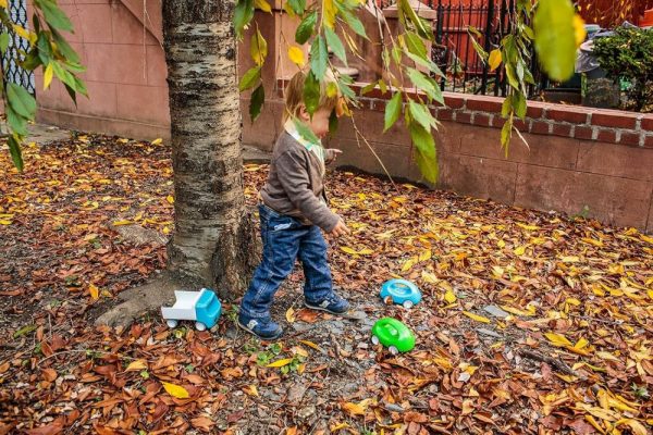 Brinquedos de empurrar e puxar |   Brinquedo de Empurrar e Puxar Go Car Aprendizagem Precoce – Vermelho Brinquedos de empurrar e puxar Brinquedos de empurrar e puxar