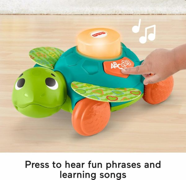 Brinquedos Musicais |   Brinquedo Infantil Linkimals Tartaruga Marinha Sentar-Para-Cengolar Para Idades A Partir de 9 Meses Compatível Somente com Itens Linkimals Brinquedos Musicais Brinquedos Musicais