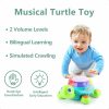 Brinquedos Musicais |   Brinquedo Musical de Tartaruga para Bebês – Brinquedos para Barriga de Bebê que Engatinham com Luz e Som – Aprendizado Bilingue em Espanhol e Inglês para Crianças – Presentes de Aniversário para Meninos e Meninas de 6 a 18 Meses e 1 Ano Brinquedos Musicais Brinquedos Musicais