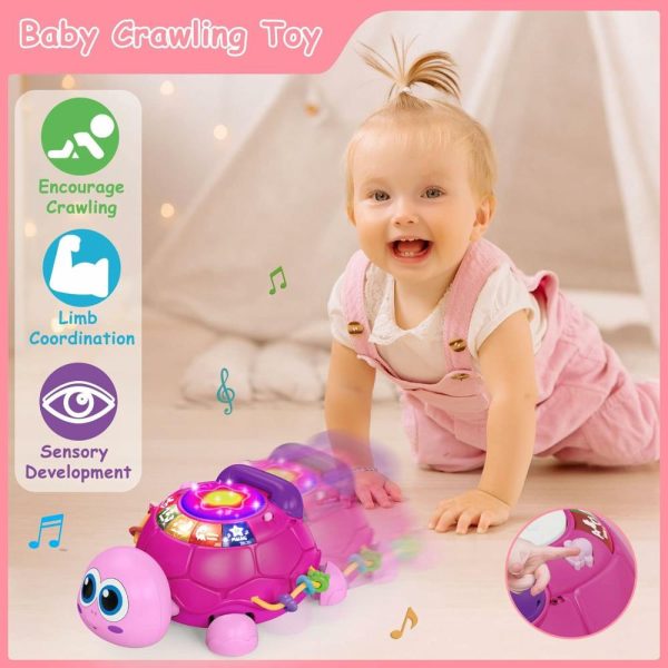 Brinquedos Musicais |   Brinquedo Musical de Tartaruga para Bebês de 6 a 18 Meses – Brinquedo Educativo de Aprendizado Precoce – Essencial para Presentes de Meninas e Recém-Nascidos de 7 a 24 Meses (Rosa) Brinquedos Musicais Brinquedos Musicais