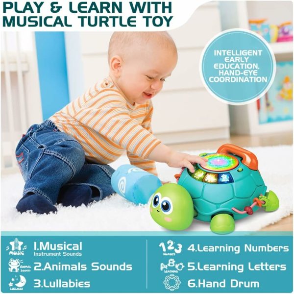 Brinquedos Musicais |   Brinquedos para Bebês de 6 a 12 Meses – Tartaruga Musical para Engatinhar – Brinquedos Educativos para Bebês de 12 a 18 Meses – Brinquedo de Aprendizado Precoce com Luz e Som – Brinquedo de Aniversário para Meninos e Meninas de 7 a 11 Meses e de 1 a 2 Anos. Brinquedos Musicais Azul