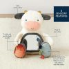 Espelhos |   Brinquedo Sensorial de Tummy Time com Espelho – Apresenta Sons de Amassar e Tilintar, Múltiplas Texturas e Espelho para Autodescoberta, Brinquedo Infantil para Idades a Partir de 0 Meses, Vaca Espelhos Espelhos